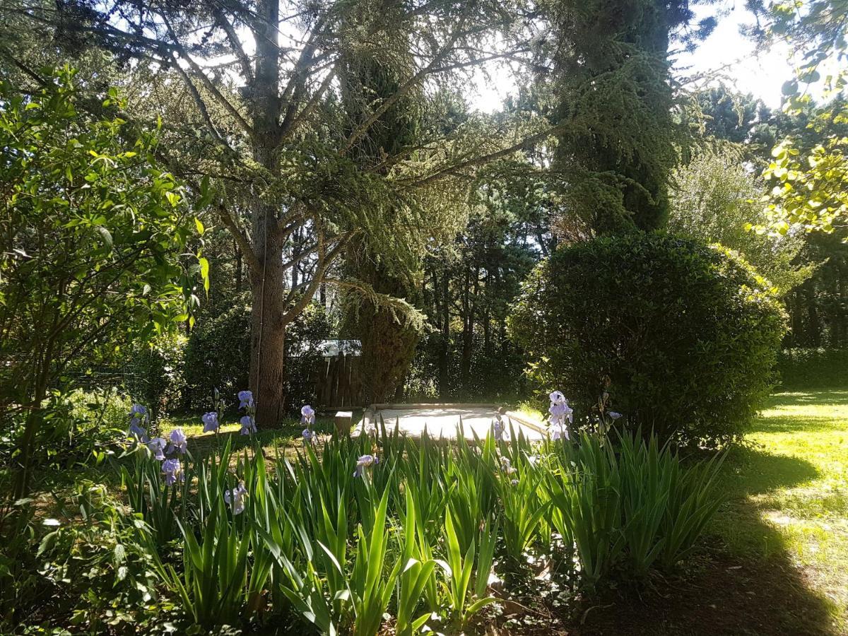 Bastide En Provence Daire Auriol Dış mekan fotoğraf